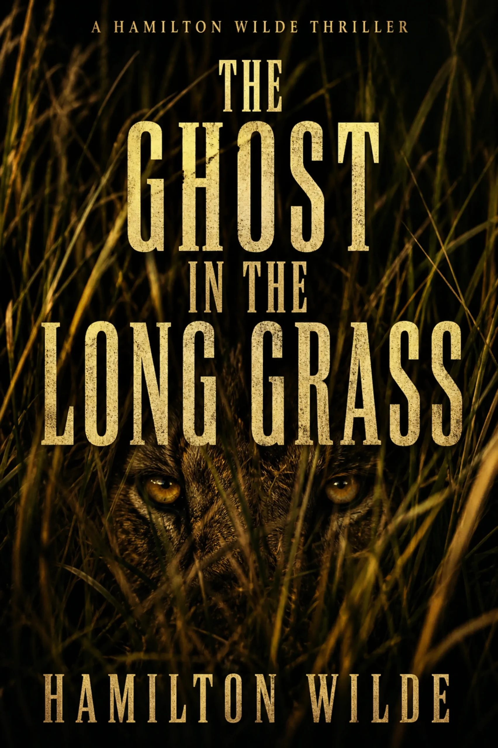 The Ghost in the Long Grass - book 4